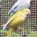 2024 QUAKER MUTATIONS