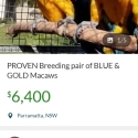 Buyers beware!