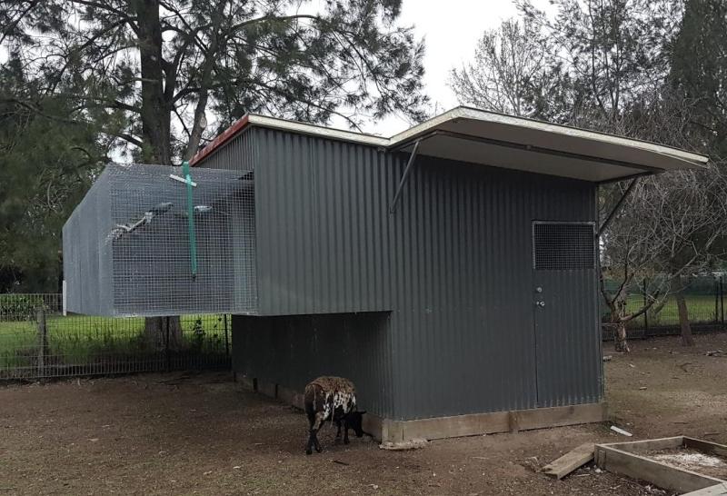 Suspended Aviaries, Macaws and Ringnecks