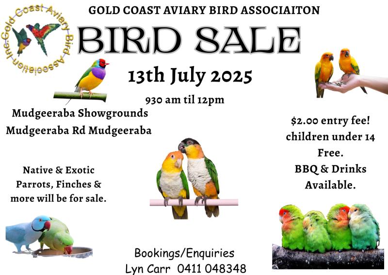 Bird Sale