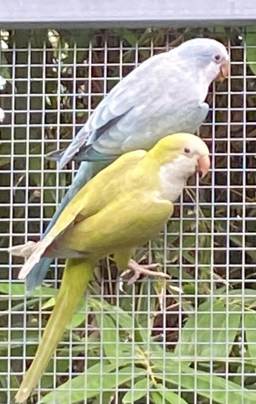 2024 QUAKER MUTATIONS