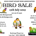 Bird Sale