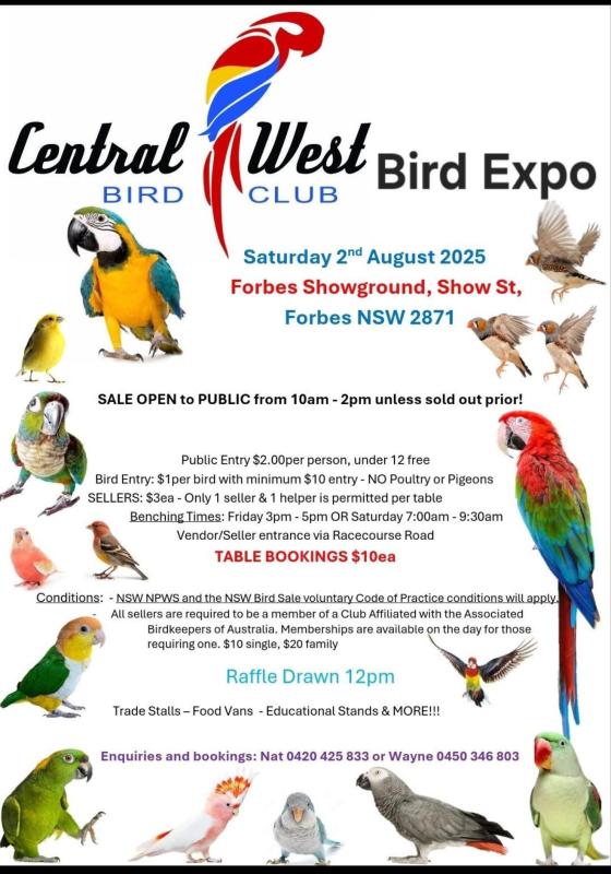 Seed and accessories Forbes sale 2nd August