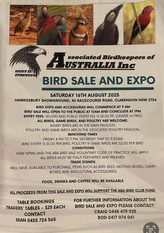 BIRD SALE