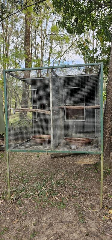 large Double bird avery Price Reduced