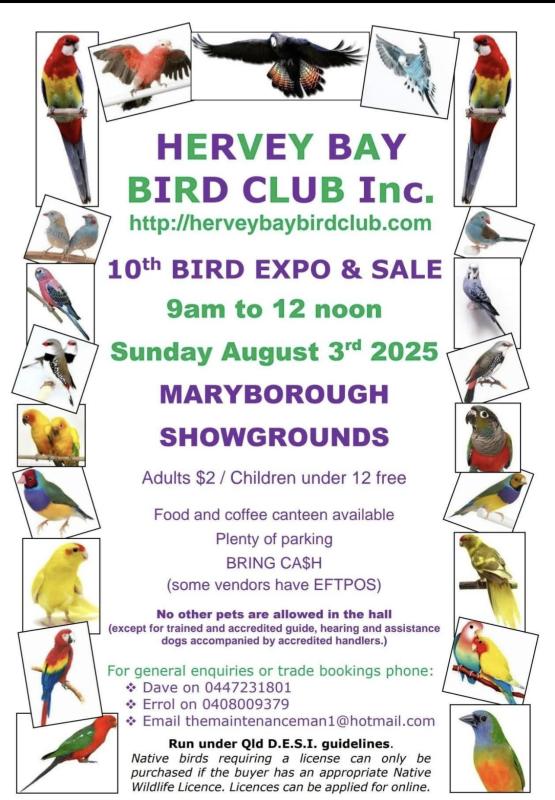 Bourke parrots at Harvey bay sale this Sunday