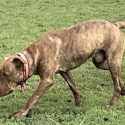Please help me, need to be rehome