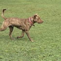 Im free please rehome me