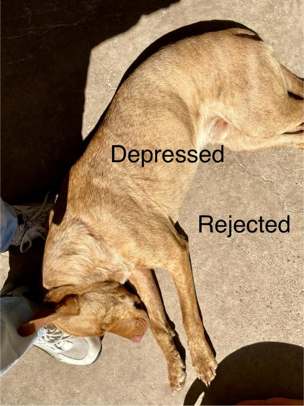 ...