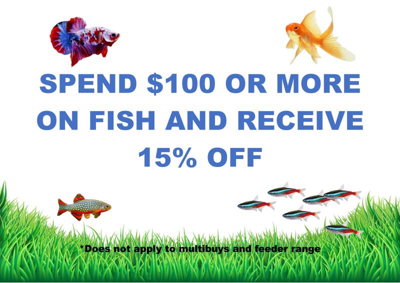 Huge Range of Fish at Radleys Pet and Aquarium!