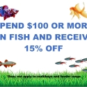 Huge Range of Fish at Radleys Pet and Aquarium!