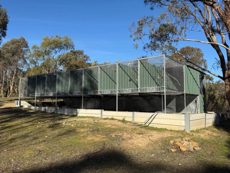 Aviary Complex