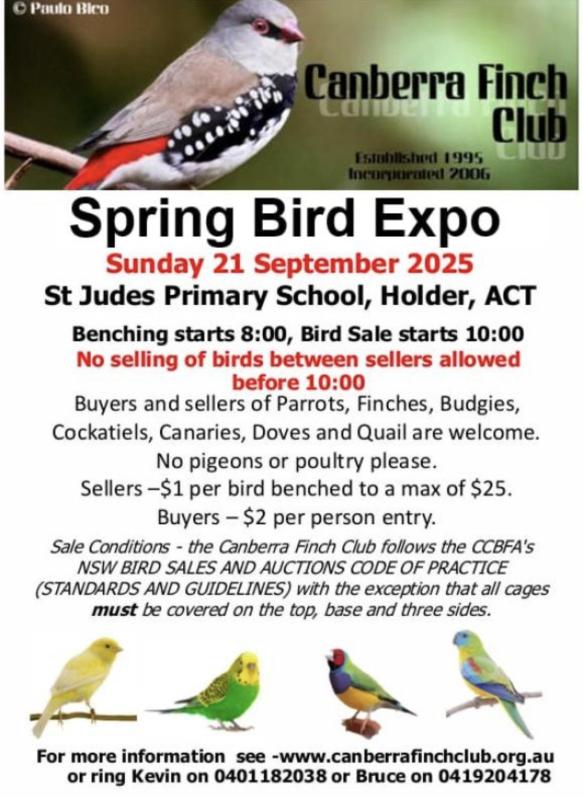 Canberra finch club Spring bird  sale