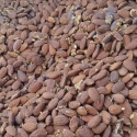 Sydney nut run friday 10th Saturday 11th