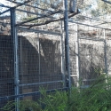 Aviary 6mx4m has 7 compartments