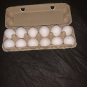 Leg Horn Fertile chicken eggs