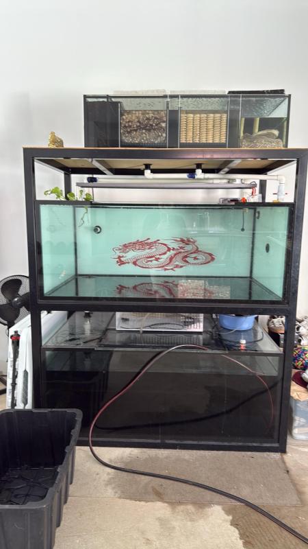 5x3x2 Rack Setup - Complete Setup