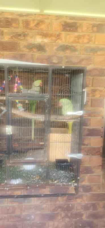 Bonded alexandrines