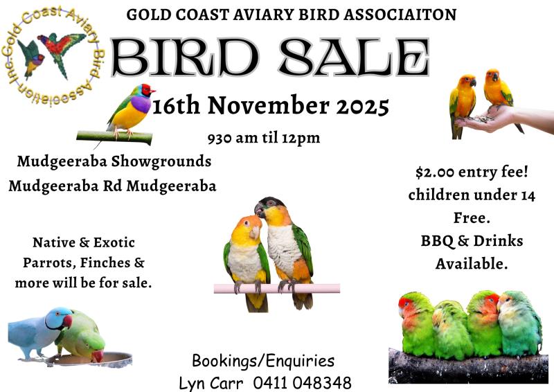 Bird Sale