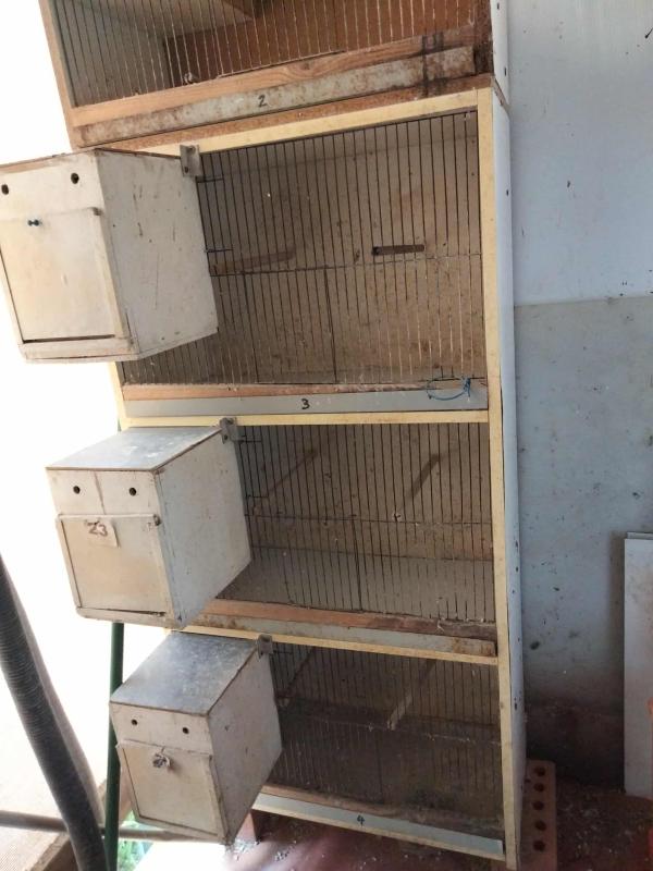 Breeding Cabinets
