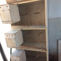 Breeding Cabinets