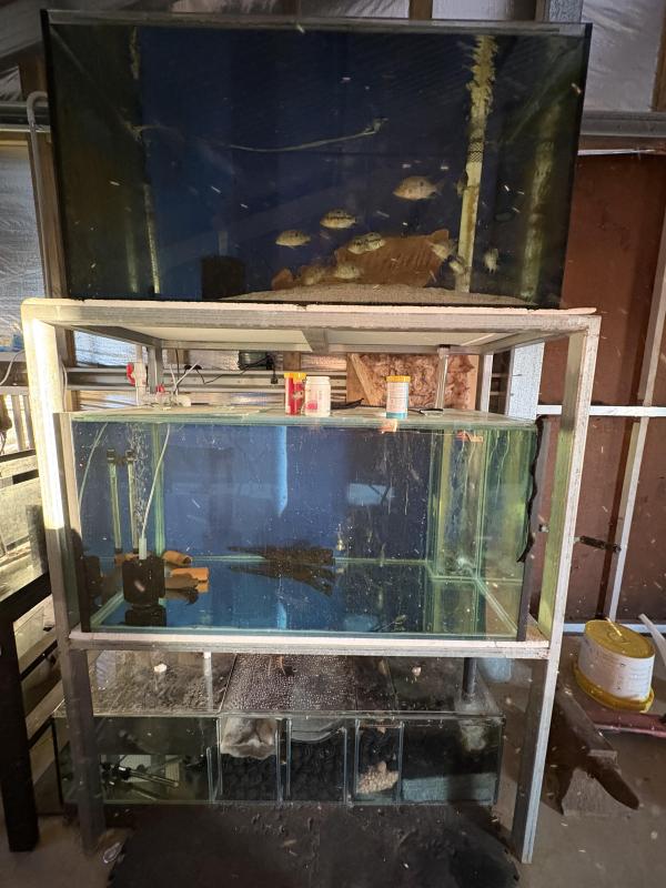 4 x 2 x 2 tanks and stand