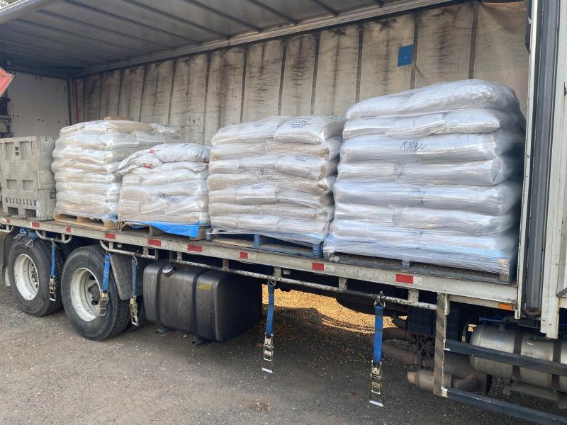 FTC SEEDS SEED RUN FINCH Society 30th November 2025