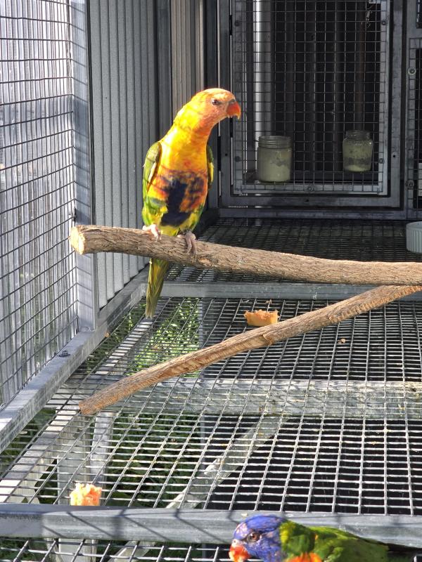 Blue series Rainbows