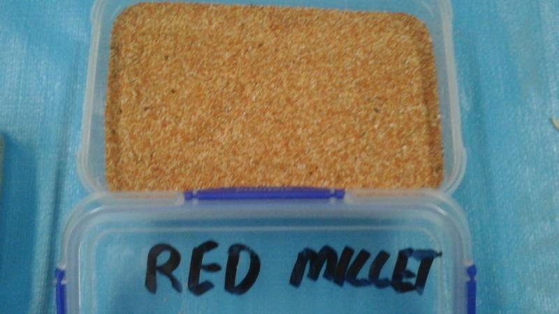 FINCH SOCIETY EXPO 30th Nov 2025