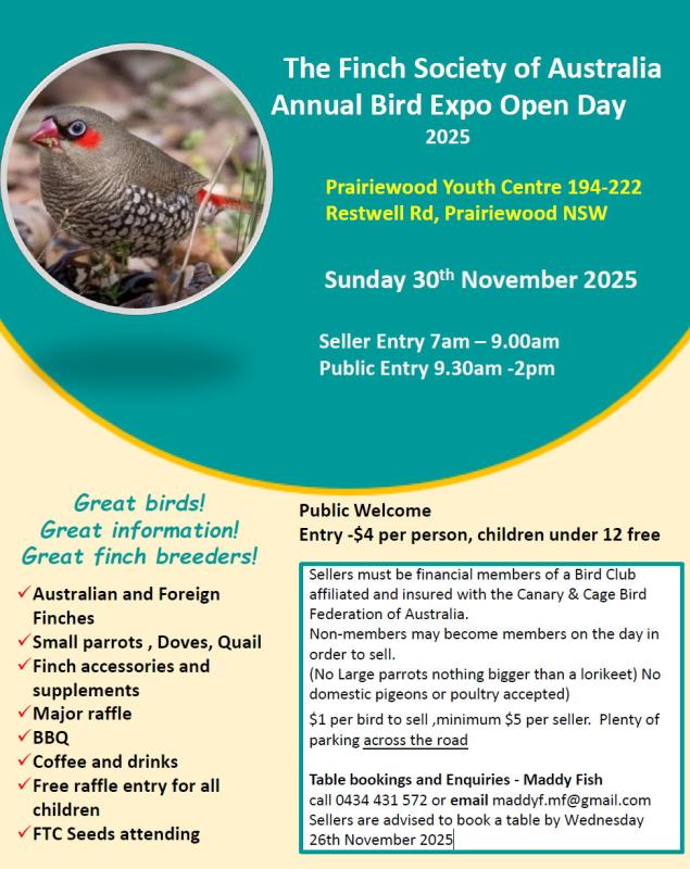 It's going to be bigger than a Show Zeb on steroids!