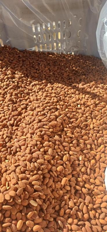 Bendigo melbourneballarat nut run 4th dec