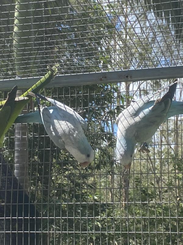 2024 QUAKER MUTATIONS