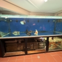 For sale 10x4x3 monster fish tank