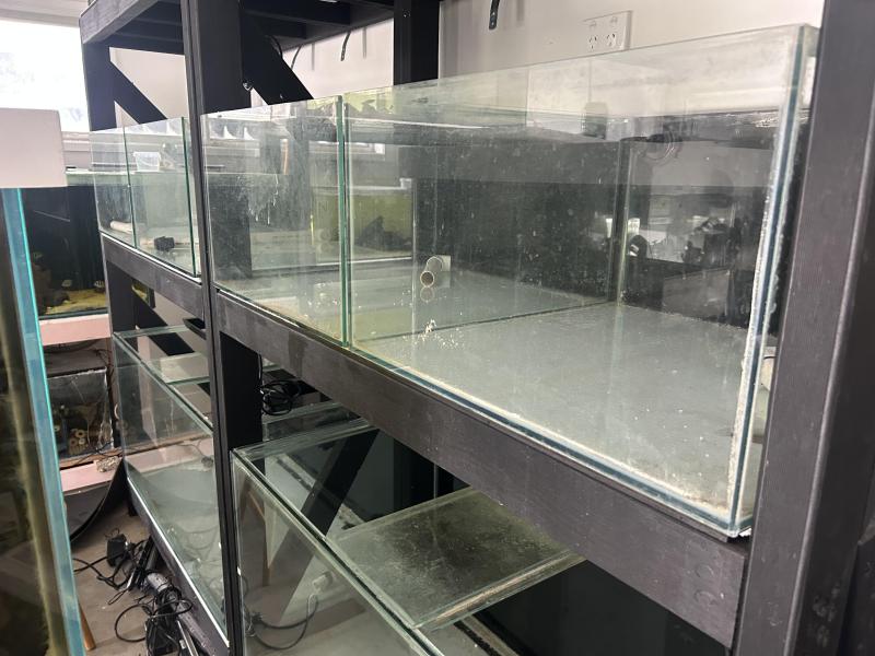 Closing down fish room