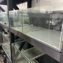 Closing down fish room