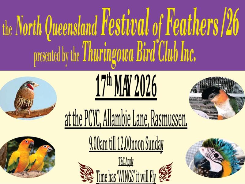 Festival of Feathers /26,