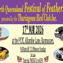 Festival of Feathers /26,