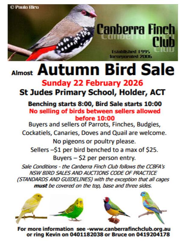 Autumn Bird Sale