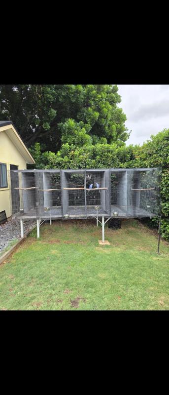 Suspended aviary price drop on sale