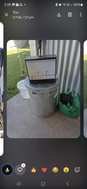 Will be at Orange Sale.    Sale and Show cages