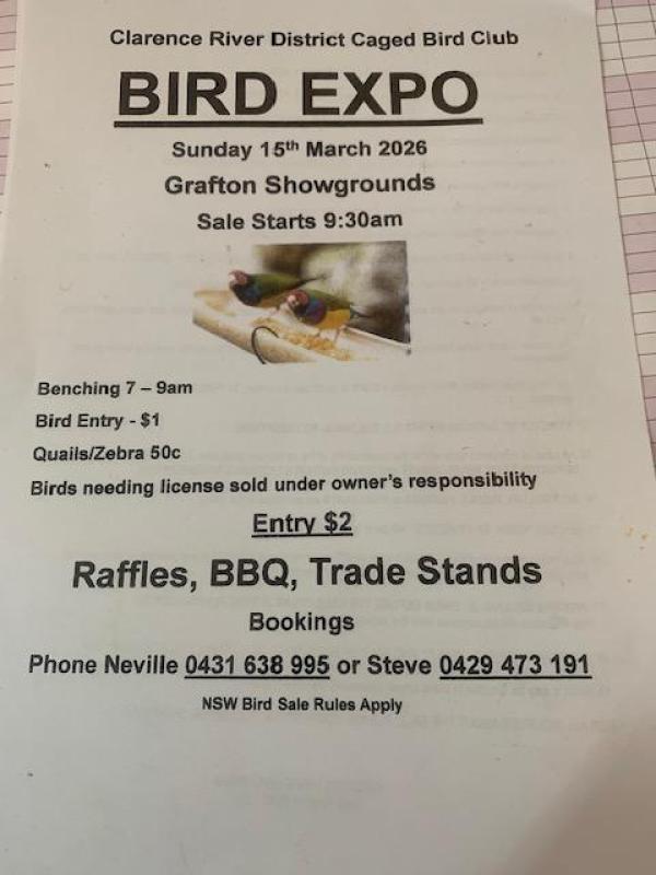 GRAFTON  BIRD  SALE SUNDAY  15TH  MARCH