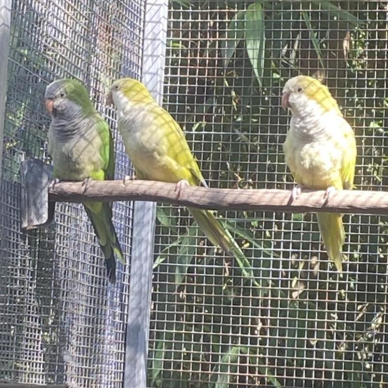 2024 QUAKER MUTATIONS