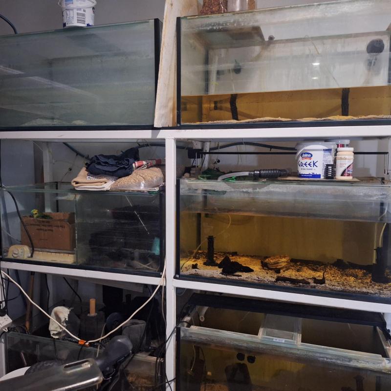 6ft Aquarium Rack