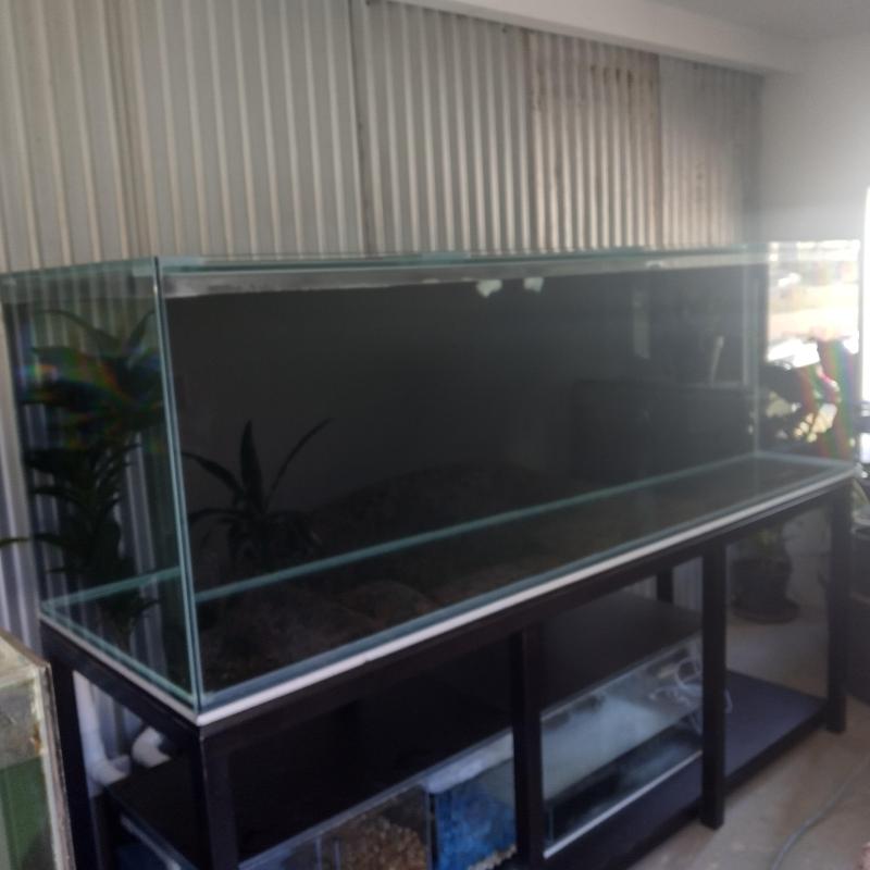 Custom 8ft x 2.5ft x 2.5ft Fish Tank