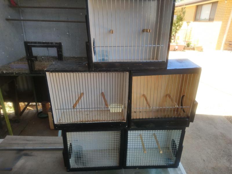 Bird sales boxes