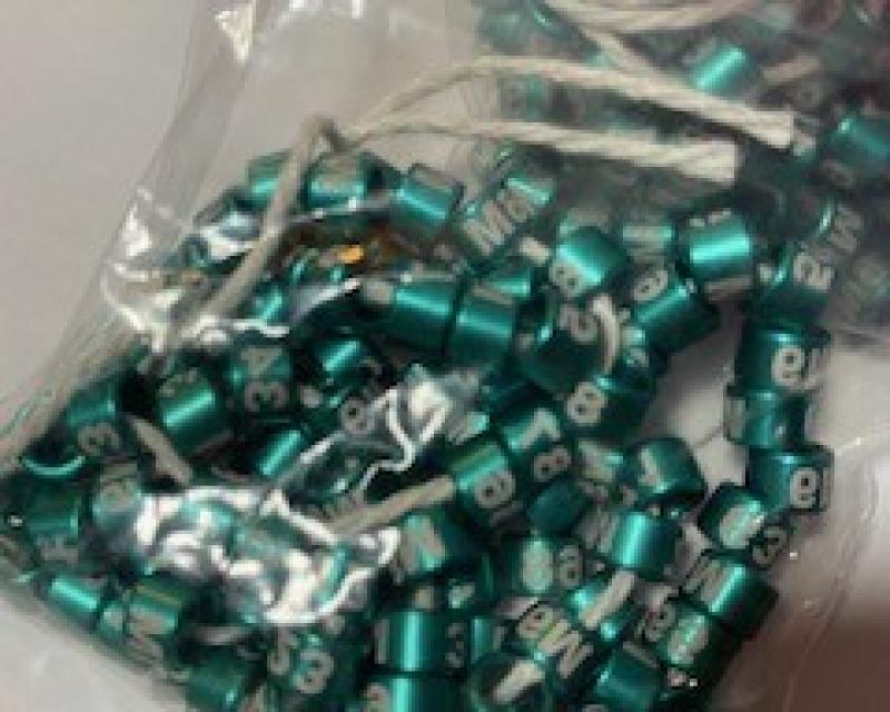 Budgie Show Quality Rings for Bands Closed Alum Numbered Green Year Ring