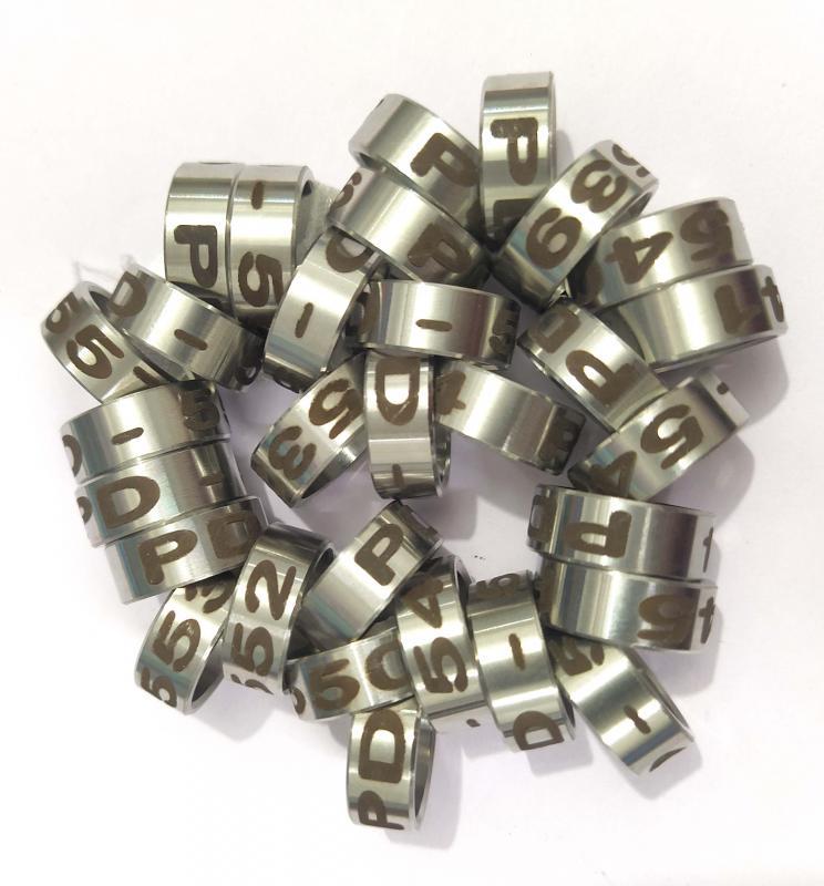 S/steel Closed Split & Opened rings LASER numbered Amazons, African Greys, Ececs