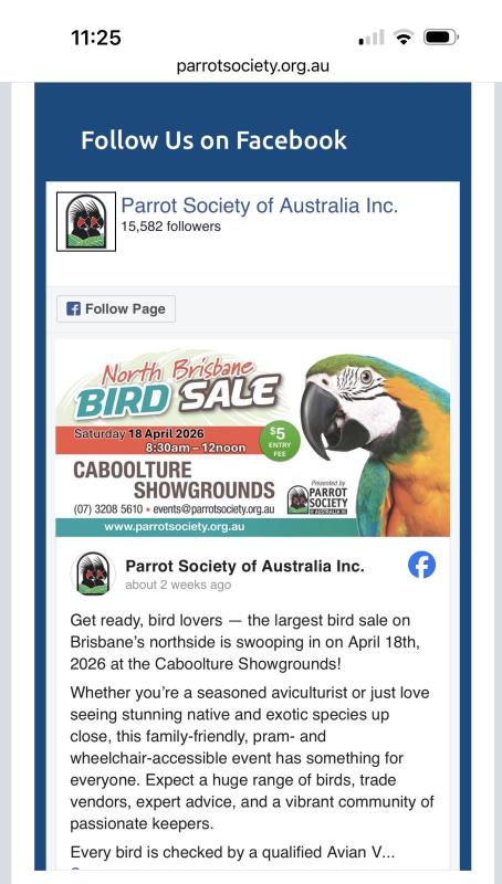 Caboolture Bird Sale