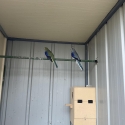 Blue winged parrots