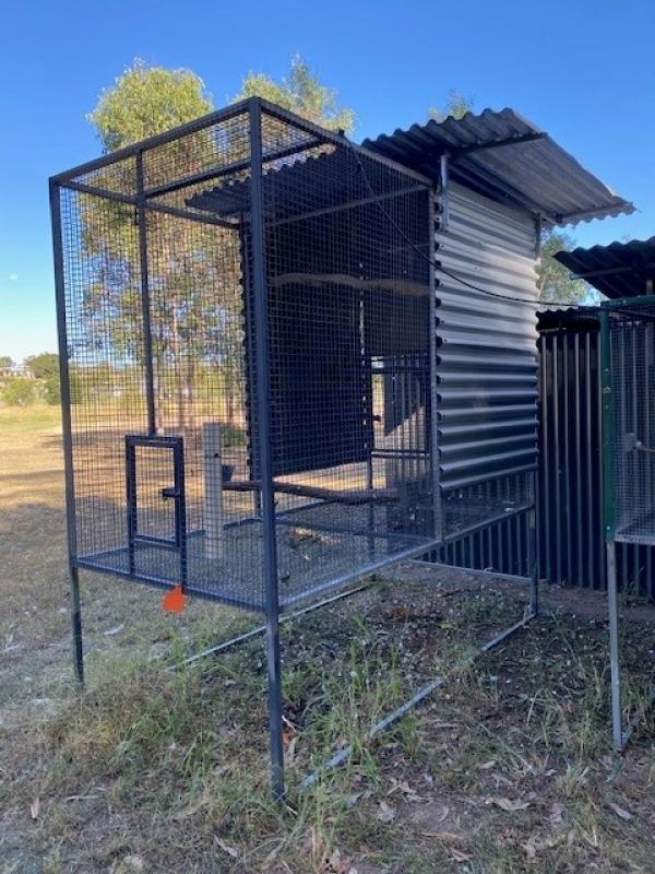 Bird Aviary Heavy Duty